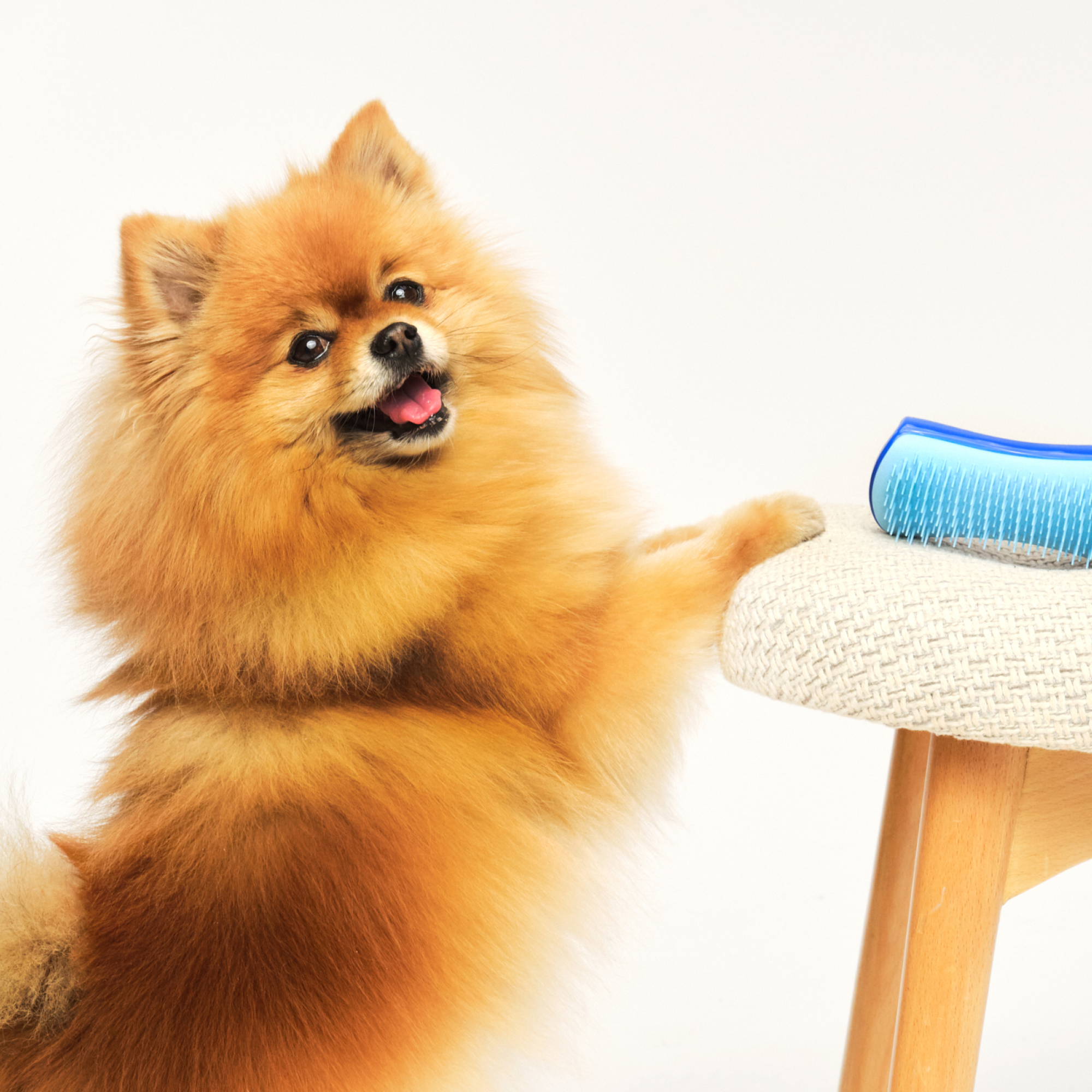 De-shedding Dog Grooming Brush