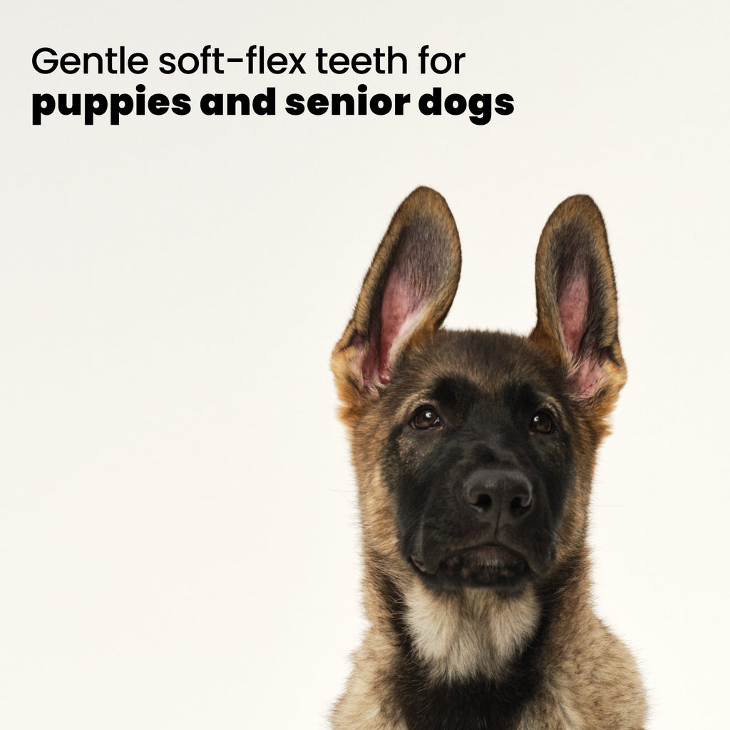 Puppy Brush