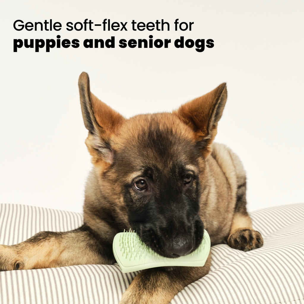 Puppy Brush