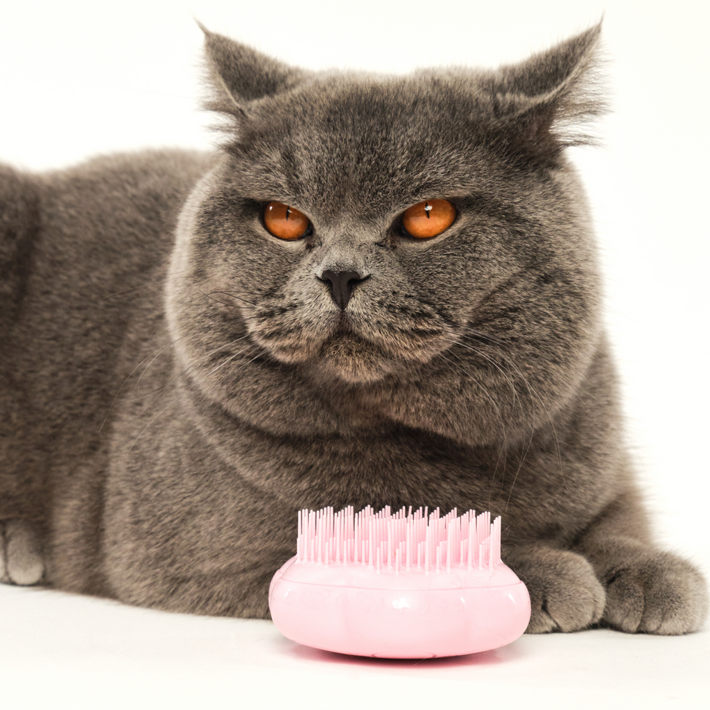 Cat Grooming Brush